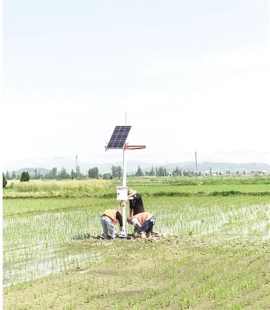 5G，推动农业现代化新变革