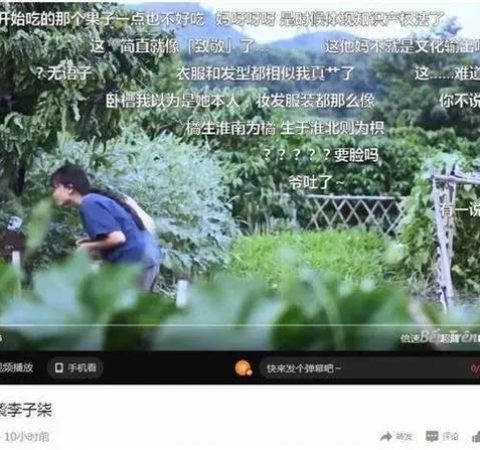 白小极说知产：李子柒视频被抄袭，维权难度大