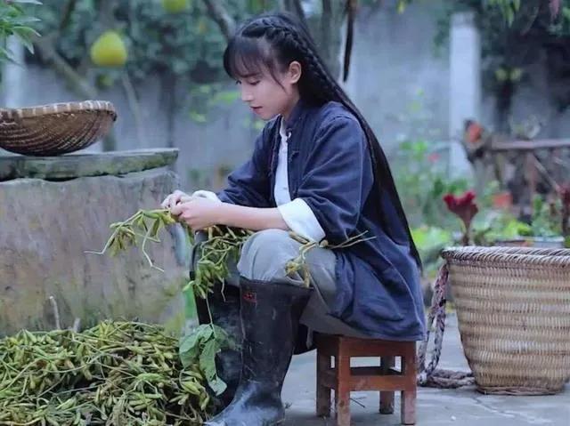 白小极说知产:李子柒视频被抄袭,维权难度大