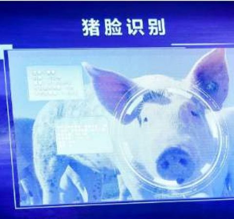 互联网巨头打响AI农业争夺战