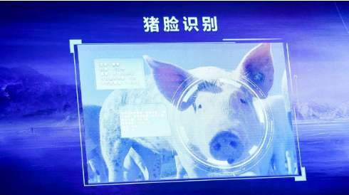 互联网巨头打响AI农业争夺战