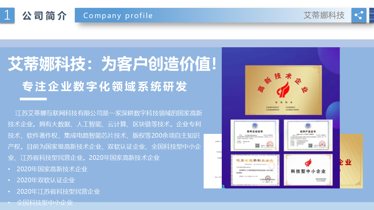 社交电商高端源码定制服务