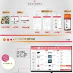 智慧新零售社交电商商城公众号小程序软件系统平台