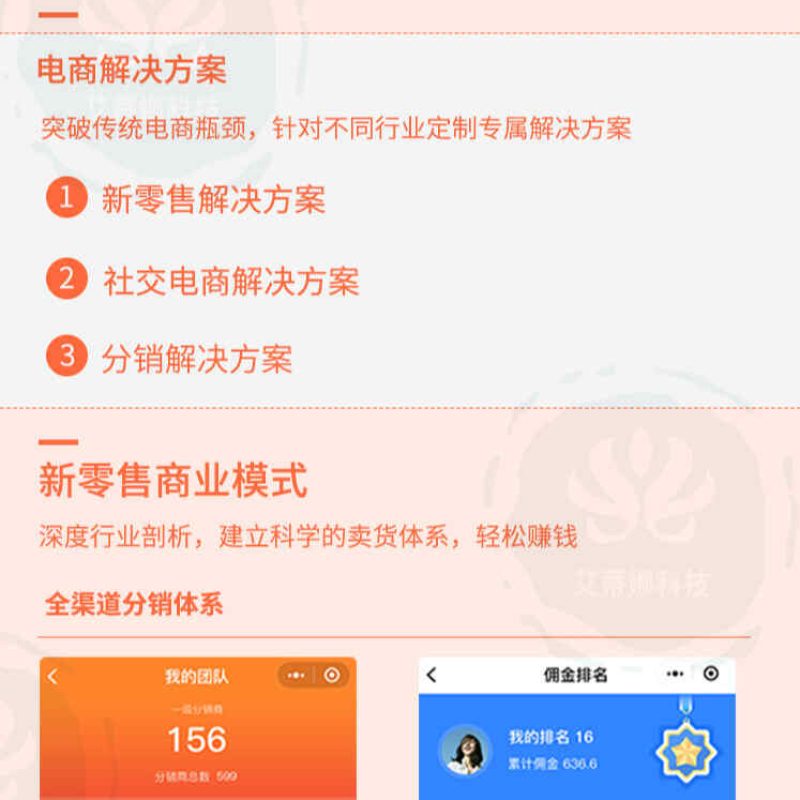 社交新零售平台新零售商城平台开店互联网软件开发小程序定制