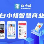 社交电商分销商城微商管理系统各行业直播主播带货小程序软件开发
