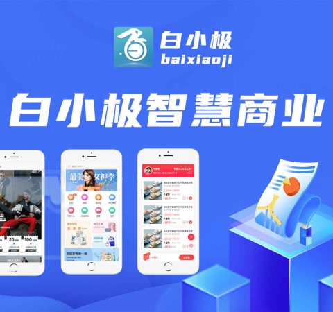 白小极智慧商业新零售商城三级分销体验版公众号小程序APP