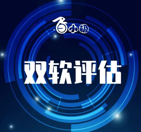 双软评估认证
