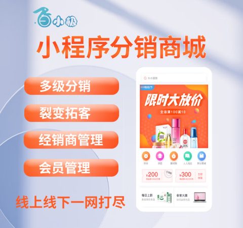 开发的小程序是无形资产吗？