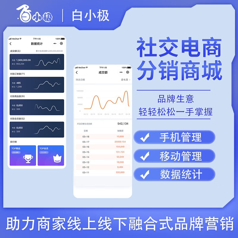 开发的小程序是无形资产吗? - ec f a ec